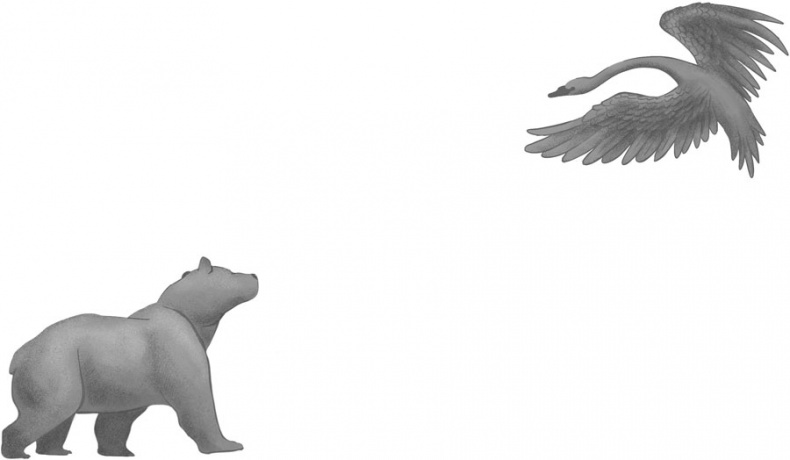 Иллюстрация к книге — Сестры зимнего леса [i_005.jpg]