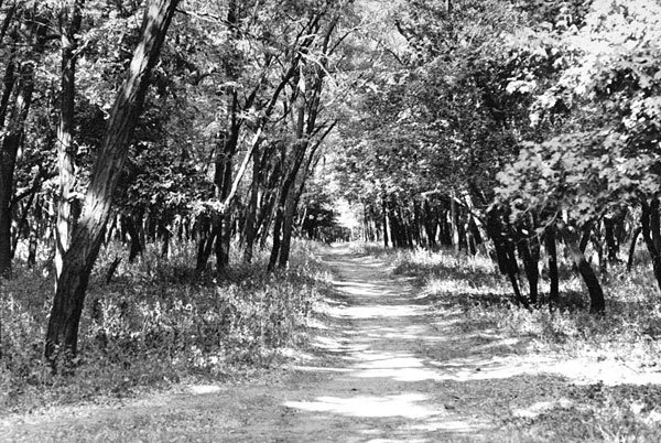 Иллюстрация к книге — 25 историй серийных убийц [i_007.jpg]