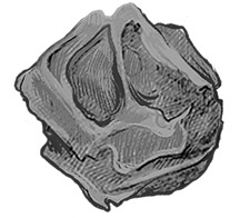 Иллюстрация к книге — Земля случайных чисел [_001.jpg]