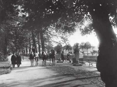 Иллюстрация к книге — Поэзия садов [i_069.jpg]