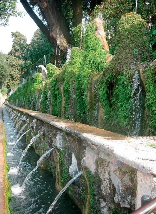 Иллюстрация к книге — Поэзия садов [i_075.jpg]