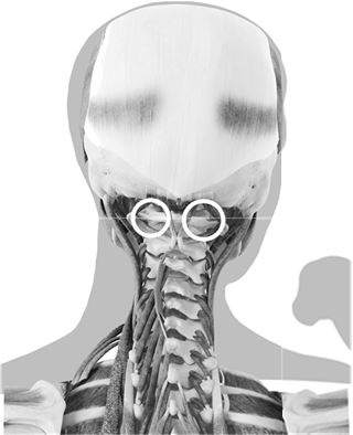 Иллюстрация к книге — Не дай голове расколоться! [i_034.jpg]