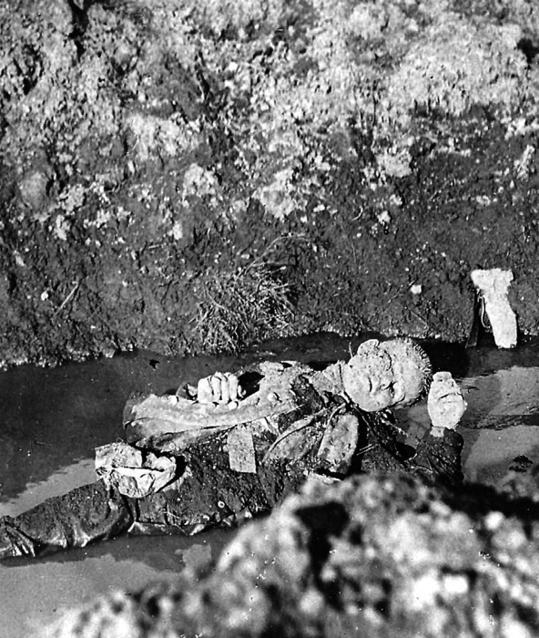 Иллюстрация к книге — Горечь войны [i_082.jpg]