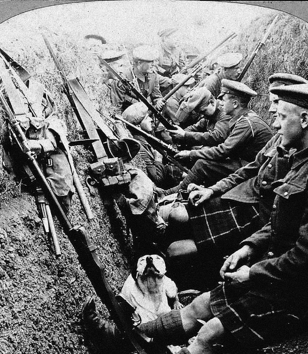 Иллюстрация к книге — Горечь войны [i_091.jpg]