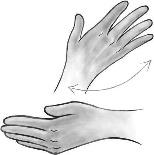 Иллюстрация к книге — Песня для кита [i_009.jpg]