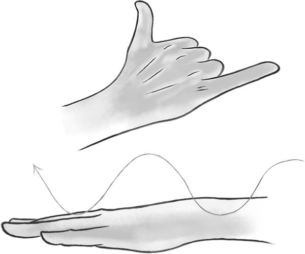 Иллюстрация к книге — Песня для кита [i_011.jpg]