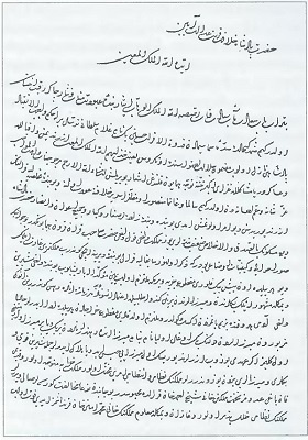Иллюстрация к книге — Оборона Опочки 1517 г. «Бесова деревня» против армии Константина Острожского [i_041.jpg]