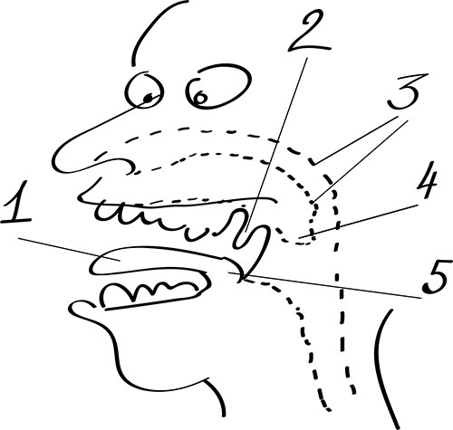 Иллюстрация к книге — Храп, или Одному такое было – прошло, и вам пройдет [i_022.jpg]