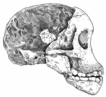 Иллюстрация к книге — Почти человек [i_002.jpg]