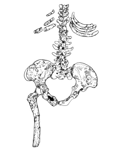 Иллюстрация к книге — Почти человек [i_003.jpg]