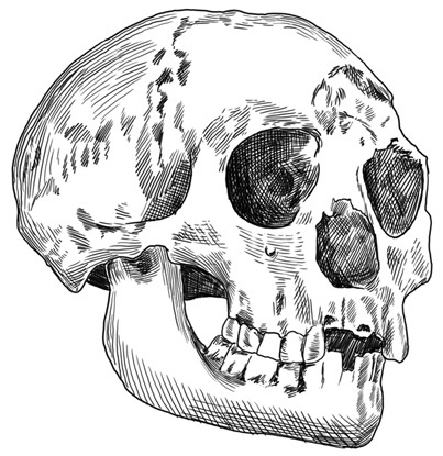 Иллюстрация к книге — Почти человек [i_007.jpg]