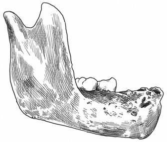 Иллюстрация к книге — Почти человек [i_009.jpg]