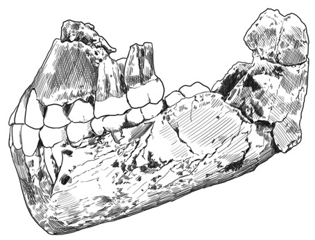 Иллюстрация к книге — Почти человек [i_013.jpg]