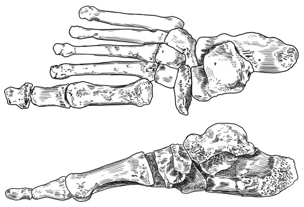 Иллюстрация к книге — Почти человек [i_014.jpg]