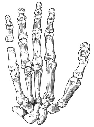 Иллюстрация к книге — Почти человек [i_015.jpg]