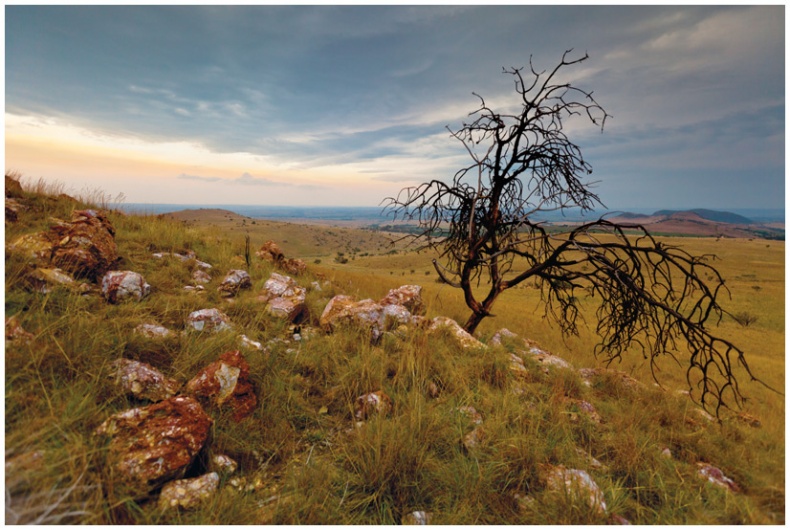 Иллюстрация к книге — Почти человек [i_018.jpg]