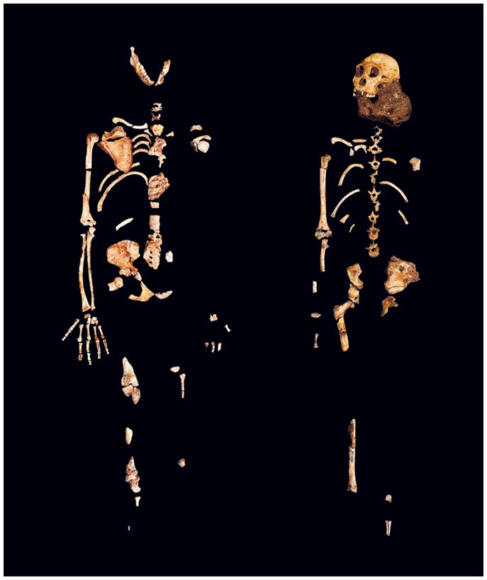 Иллюстрация к книге — Почти человек [i_024.jpg]