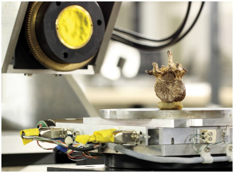 Иллюстрация к книге — Почти человек [i_027.jpg]