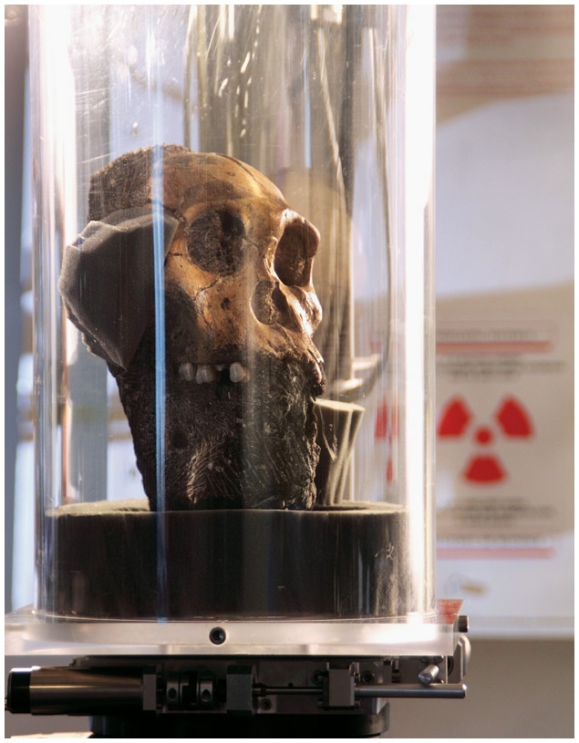 Иллюстрация к книге — Почти человек [i_028.jpg]