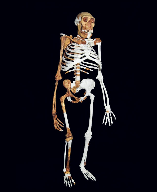 Иллюстрация к книге — Почти человек [i_029.jpg]