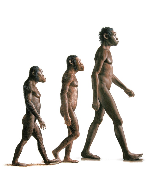 Иллюстрация к книге — Почти человек [i_030.jpg]