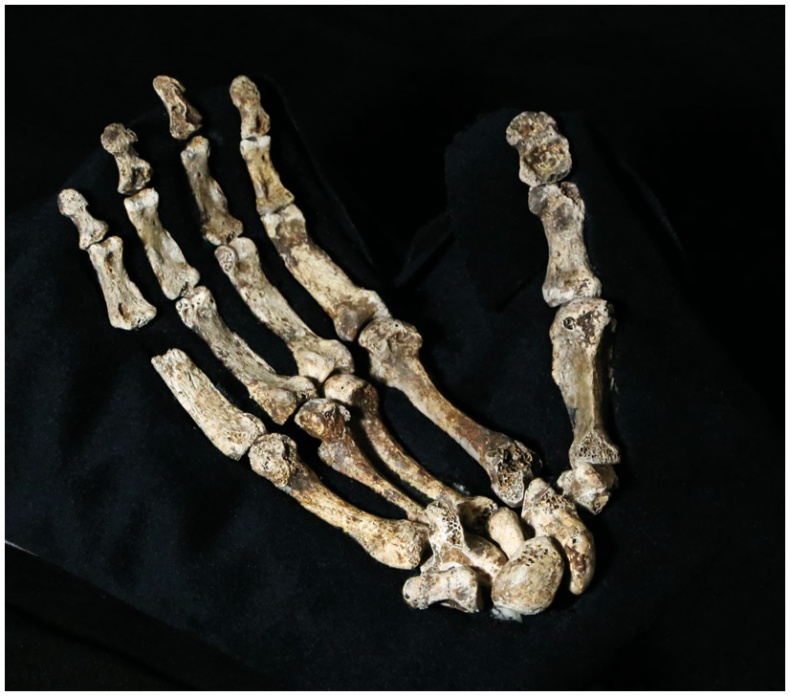 Иллюстрация к книге — Почти человек [i_044.jpg]