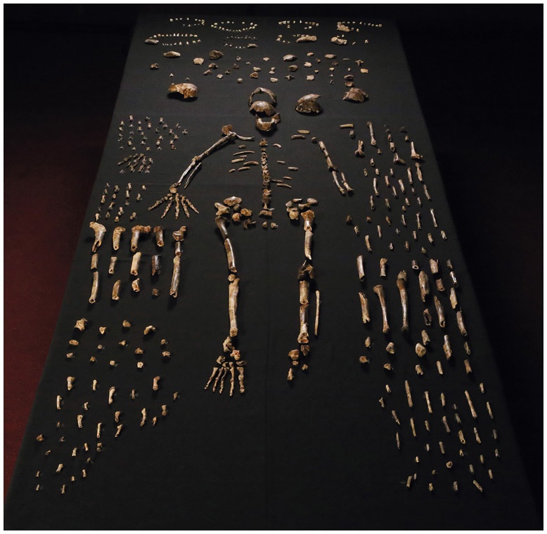 Иллюстрация к книге — Почти человек [i_051.jpg]