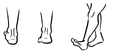 Иллюстрация к книге — Красивое долголетие [i_002.jpg]