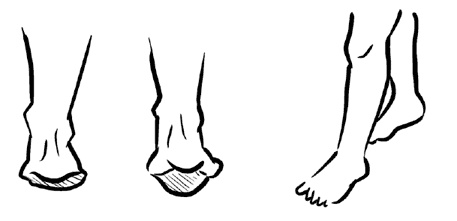 Иллюстрация к книге — Красивое долголетие [i_003.jpg]