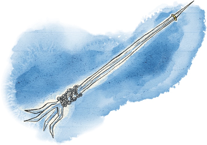 Иллюстрация к книге — Страна сказок. Путеводитель для настоящего книгообнимателя [i_061.jpg]