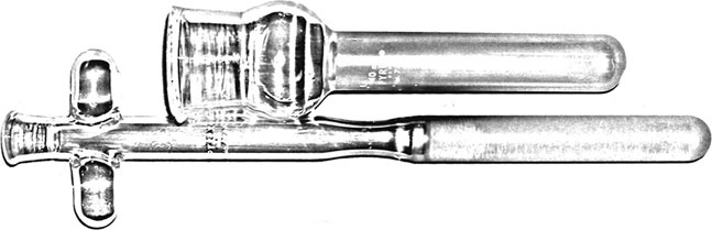 Иллюстрация к книге — Мозг. Такой ли он особенный? [_10.jpg]