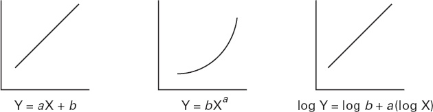 Иллюстрация к книге — Мозг. Такой ли он особенный? [_6.jpg]