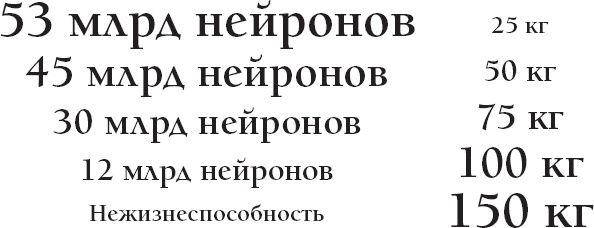 Иллюстрация к книге — Мозг. Такой ли он особенный? [_74.jpg]