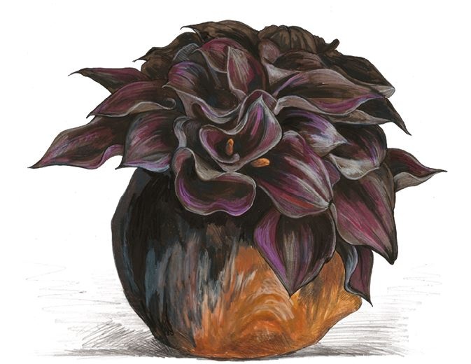 Иллюстрация к книге — Оденься для успеха [i_043.jpg]