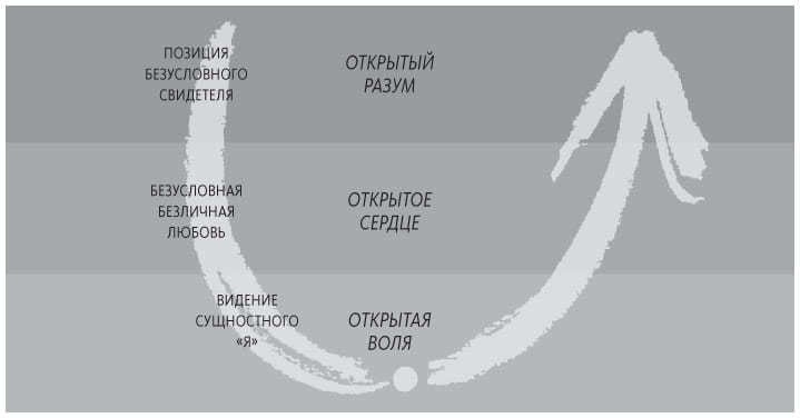 Иллюстрация к книге — Теория U [i_039.jpg]