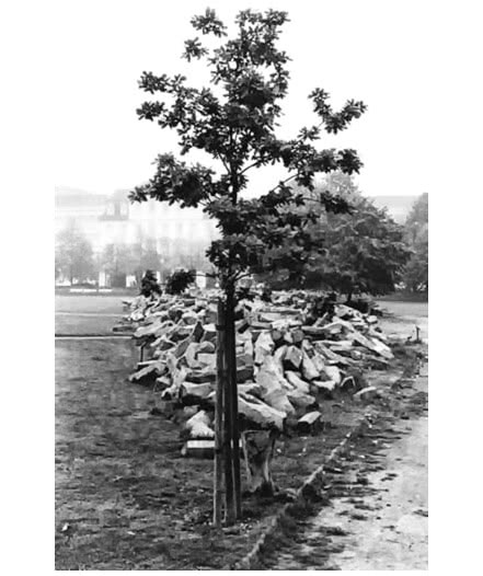 Иллюстрация к книге — Теория U [i_073.jpg]