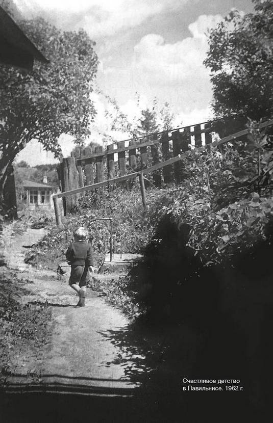 Иллюстрация к книге — Фамильные ценности [i_058.jpg]