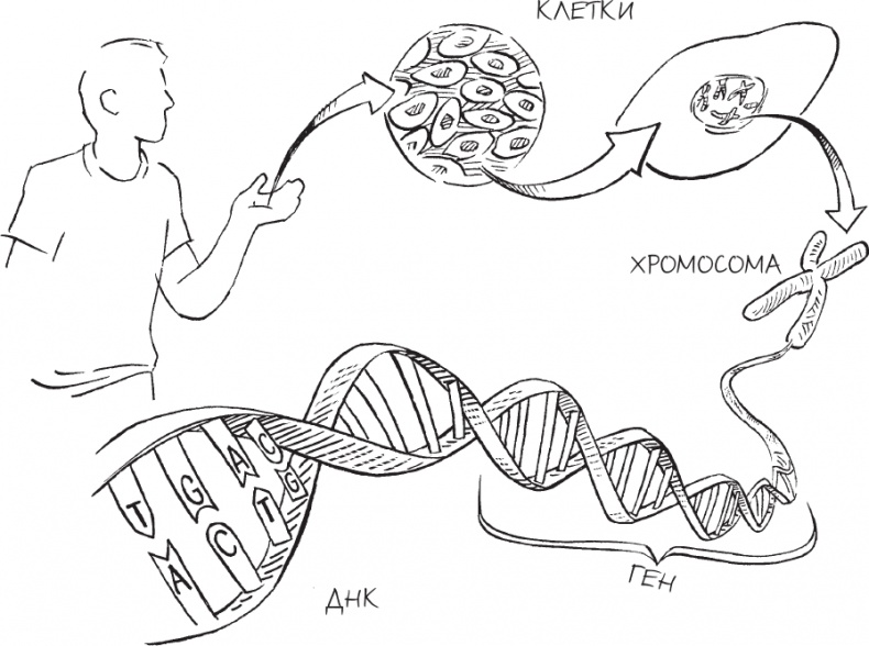 Иллюстрация к книге — Трещина в мироздании [i_002.jpg]