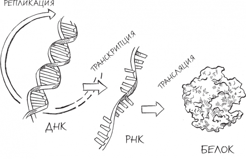 Иллюстрация к книге — Трещина в мироздании [i_004.jpg]
