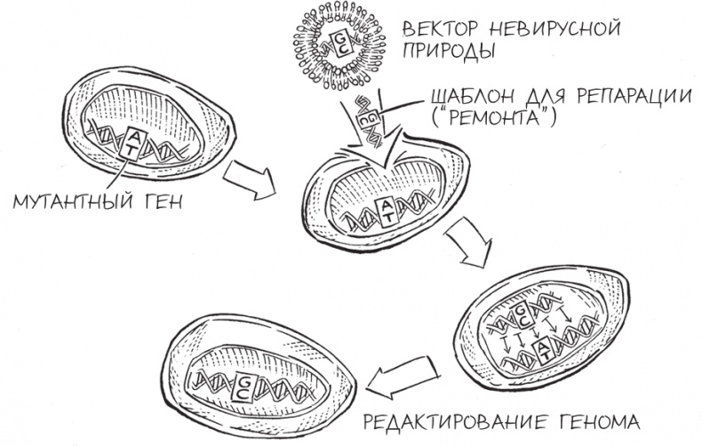 Иллюстрация к книге — Трещина в мироздании [i_006.jpg]