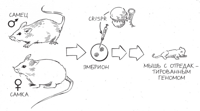 Иллюстрация к книге — Трещина в мироздании [i_015.jpg]