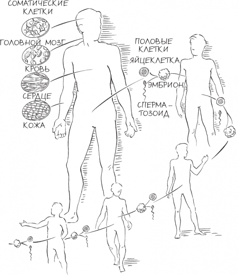 Иллюстрация к книге — Трещина в мироздании [i_025.jpg]