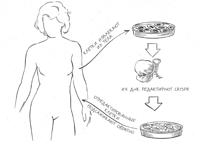 Иллюстрация к книге — Трещина в мироздании [i_026.jpg]