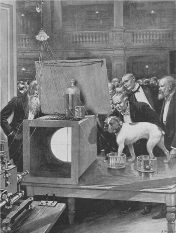 Иллюстрация к книге — Искра жизни. Электричество в теле человека [i_023.jpg]