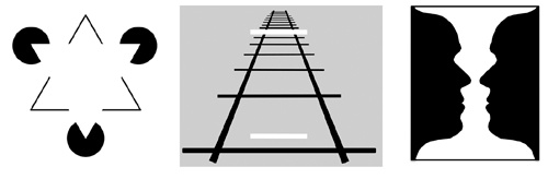 Иллюстрация к книге — Искра жизни. Электричество в теле человека [i_031.jpg]