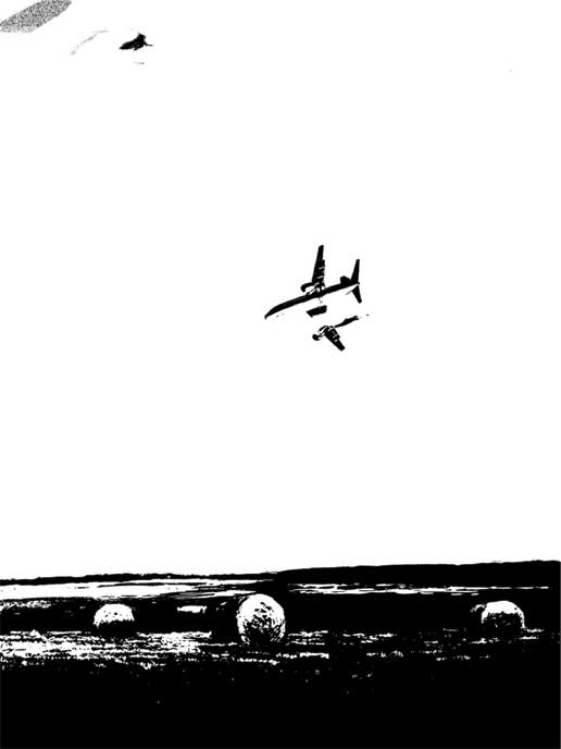 Иллюстрация к книге — Инкубус [i_017.jpg]