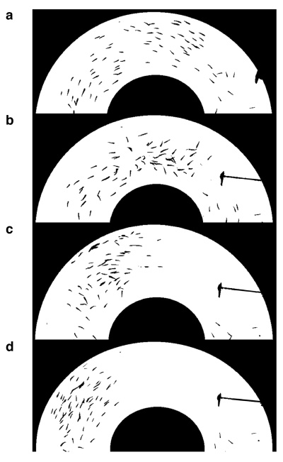 Иллюстрация к книге — Футболоматика [i_073.jpg]