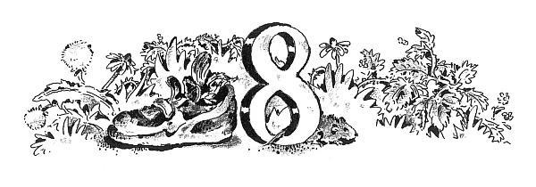 Иллюстрация к книге — Потилла [i_014.jpg]