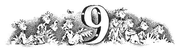 Иллюстрация к книге — Потилла [i_015.jpg]