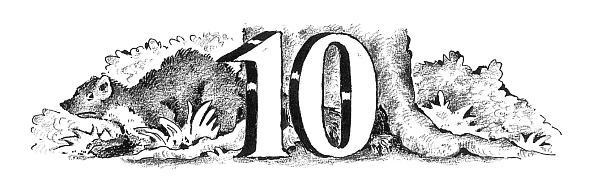 Иллюстрация к книге — Потилла [i_017.jpg]